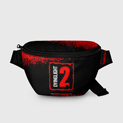 Поясная сумка ДАИНГ ЛАЙТ 2 Арт, цвет: 3D-принт