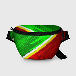 Поясная сумка Расцветка Зеленоградского флага, цвет: 3D-принт