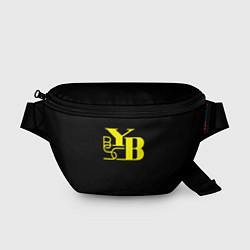Поясная сумка Young Boys fc club, цвет: 3D-принт