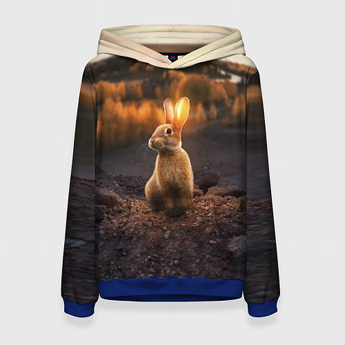Женская толстовка Солнечный зайчик / 3D-Синий – фото 1