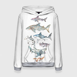 Толстовка-худи женская Акулы, цвет: 3D-меланж