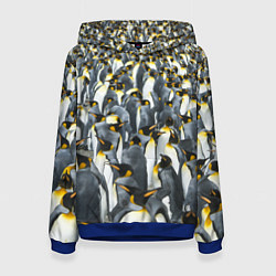 Женская толстовка Пингвины Penguins