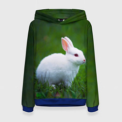 Толстовка-худи женская Кролик на фоне травы, цвет: 3D-синий