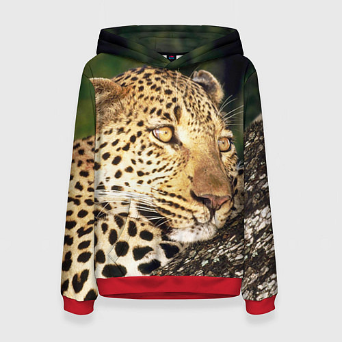 Женская толстовка Леопард в лесу / 3D-Красный – фото 1