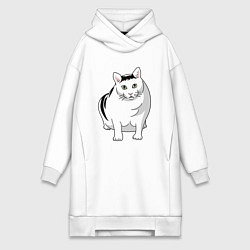 Женская толстовка-платье Бендер - мемный кот