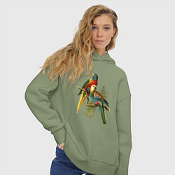 Толстовка оверсайз женская Тропические попугаи, цвет: авокадо — фото 2