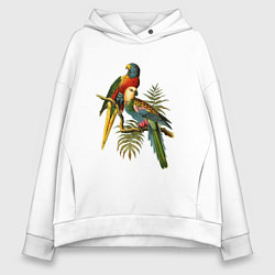 Толстовка оверсайз женская Тропические попугаи, цвет: белый