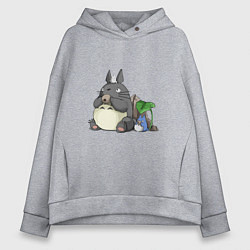 Толстовка оверсайз женская Тоторо, цвет: меланж