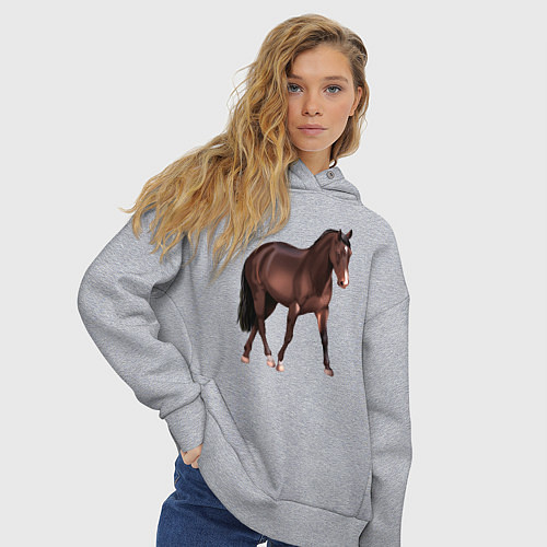 Женское худи оверсайз Австралийская пастушья лошадь / Меланж – фото 3