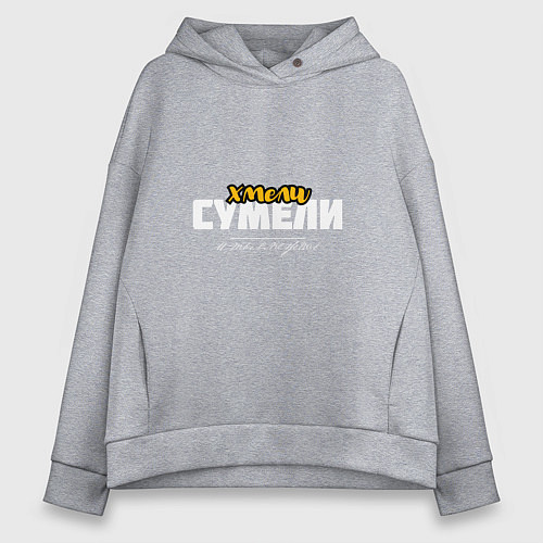 Женское худи оверсайз Хмели сумели - и ты сможешь / Меланж – фото 1