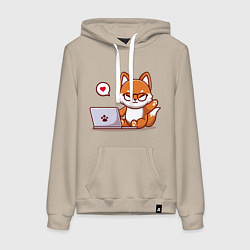 Женская толстовка-худи Cute fox and laptop