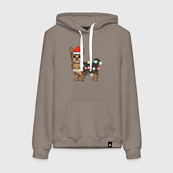 Женская толстовка-худи Йоркширский терьер новогодний