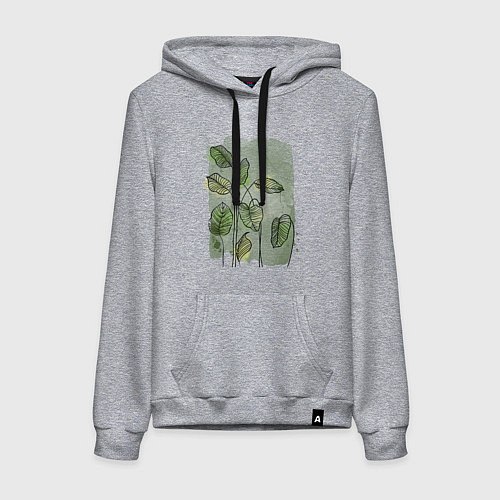 Женская толстовка-худи Нежные листья на акварельном фоне / Меланж – фото 1