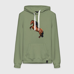 Толстовка-худи хлопковая женская Лузитано, цвет: авокадо