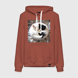 Толстовка-худи хлопковая женская Два любящих котика обнимаются клубочком, цвет: кирпичный