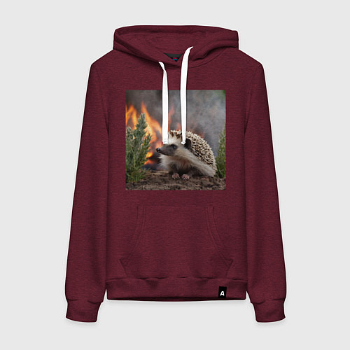 Женская толстовка-худи Ёжик в огне / Меланж-бордовый – фото 1