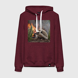 Толстовка-худи хлопковая женская Ёжик в огне, цвет: меланж-бордовый