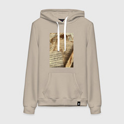 Толстовка-худи хлопковая женская Листы с нотами, цвет: миндальный