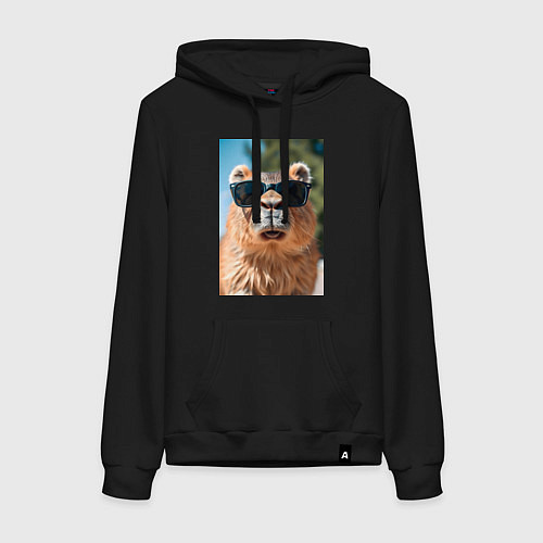 Женская толстовка-худи Модная капибара в очках / Черный – фото 1