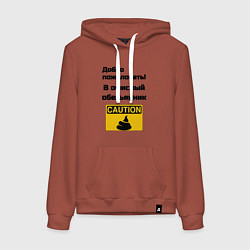 Толстовка-худи хлопковая женская Офисный обезьянник, цвет: кирпичный