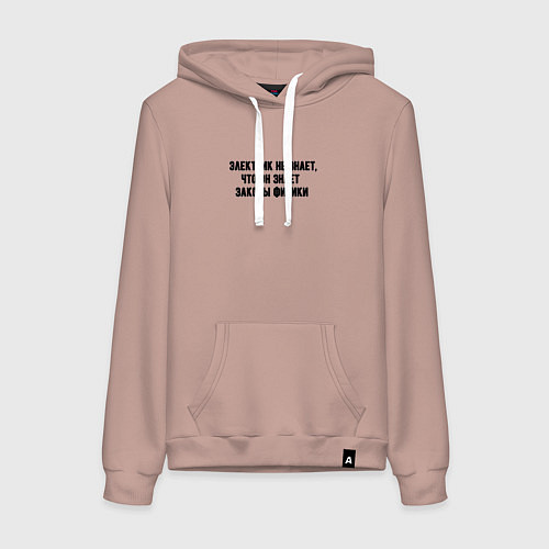 Женская толстовка-худи Электрик знает законы физики / Пыльно-розовый – фото 1