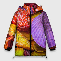 Куртка зимняя женская Разноцветные ракушки multicolored seashells, цвет: 3D-светло-серый
