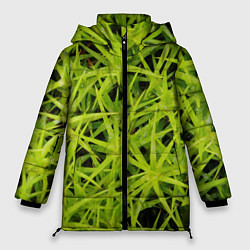 Куртка зимняя женская Сфагнум, цвет: 3D-красный