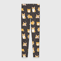 Женские легинсы Вельш корги бемброк - забавные щенки паттерн