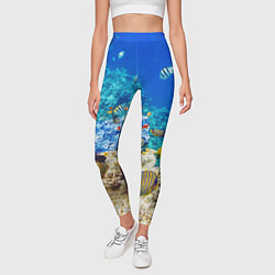 Леггинсы женские Морской мир, цвет: 3D-принт — фото 2