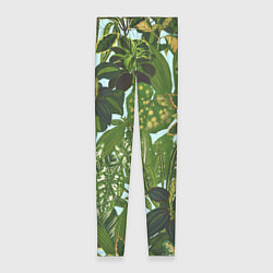 Леггинсы женские Зеленые Тропические Растения, цвет: 3D-принт