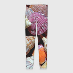 Леггинсы женские Композиция из океанских ракушек, цвет: 3D-принт