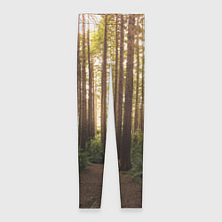 Леггинсы женские Дневной лес, деревья и свет, цвет: 3D-принт