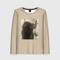 Лонгслив женский Котик из мема, цвет: 3D-принт