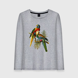Лонгслив хлопковый женский Тропические попугаи, цвет: меланж