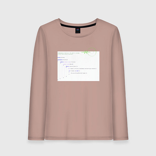 Женский лонгслив Код Создателя - для программиста / Пыльно-розовый – фото 1