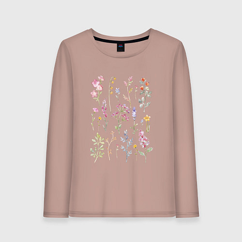 Женский лонгслив Акварельный рисунок растений / Пыльно-розовый – фото 1