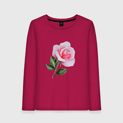 Лонгслив хлопковый женский Gentle Rose, цвет: маджента