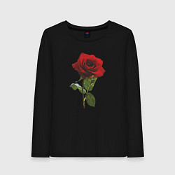 Лонгслив хлопковый женский Красивая красная роза, цвет: черный