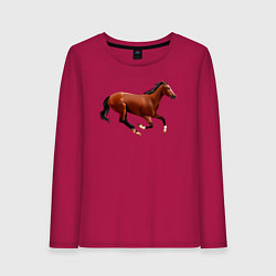 Лонгслив хлопковый женский Чистокровная верховая лошадь, цвет: маджента