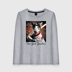 Лонгслив хлопковый женский Bull terrier - New York yankees baseball team, цвет: меланж