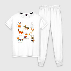 Пижама хлопковая женская Разные виды лис, цвет: белый