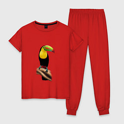 Пижама хлопковая женская Птица тукан, цвет: красный