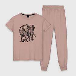Пижама хлопковая женская Слон идет, цвет: пыльно-розовый