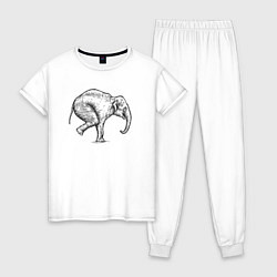 Пижама хлопковая женская Слон акробат, цвет: белый