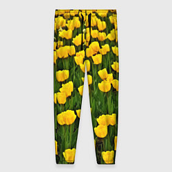 Женские брюки Жёлтые тюльпаны
