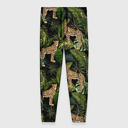 Женские брюки Versace Леопарды