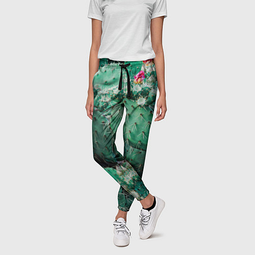 Женские брюки Кактусы с цветами реализм / 3D-принт – фото 3
