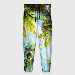 Женские брюки Пальмы под солнцем