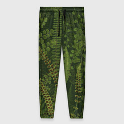 Женские брюки Цветы Зеленые Папоротники