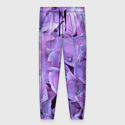 Женские брюки Фиолетово-сиреневые цветы